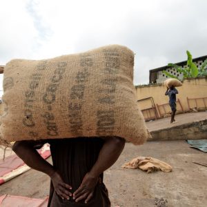 "Jute Bags for Cocoa Beans"