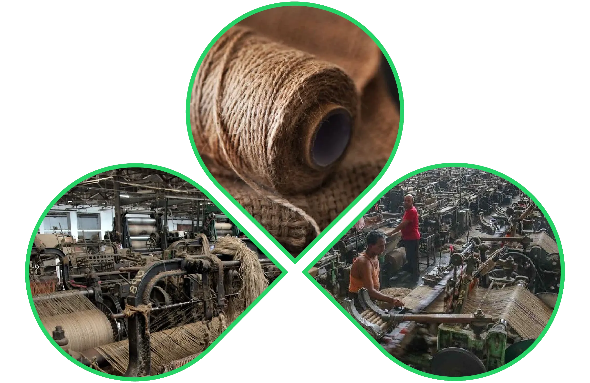 Jute yarn roll and industrial jute manufacturing process in a Bangladeshi factory